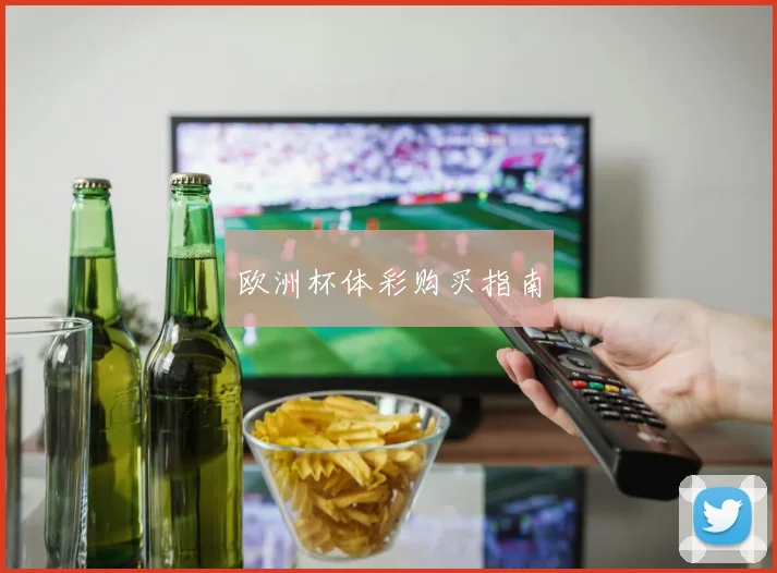 欧洲杯体彩购买指南