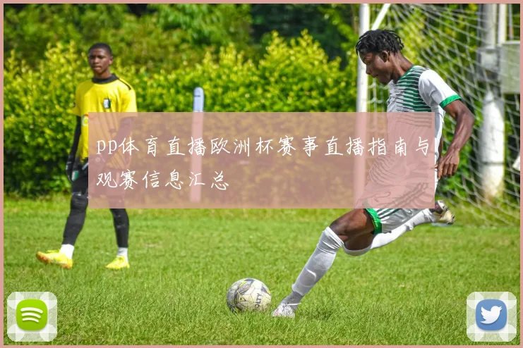 pp体育直播欧洲杯赛事直播指南与观赛信息汇总