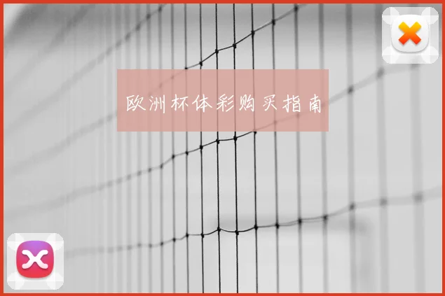 欧洲杯体彩购买指南