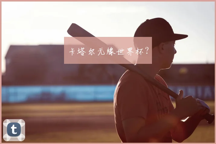 卡塔尔无缘世界杯?